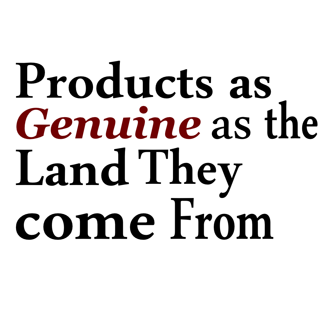 Text 1 5