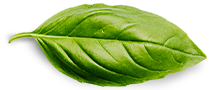 Custom Home Page 3 basil leaf